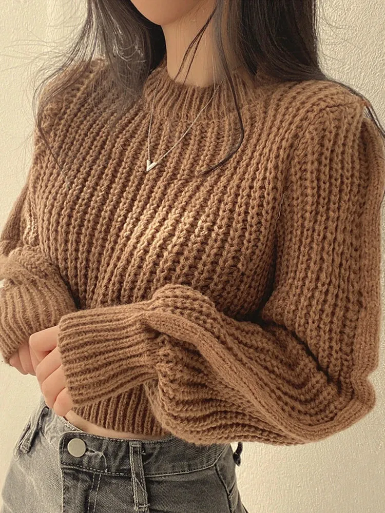 Autumn Korean Lantern Sleeve Sweater